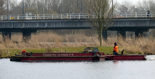 haarlem